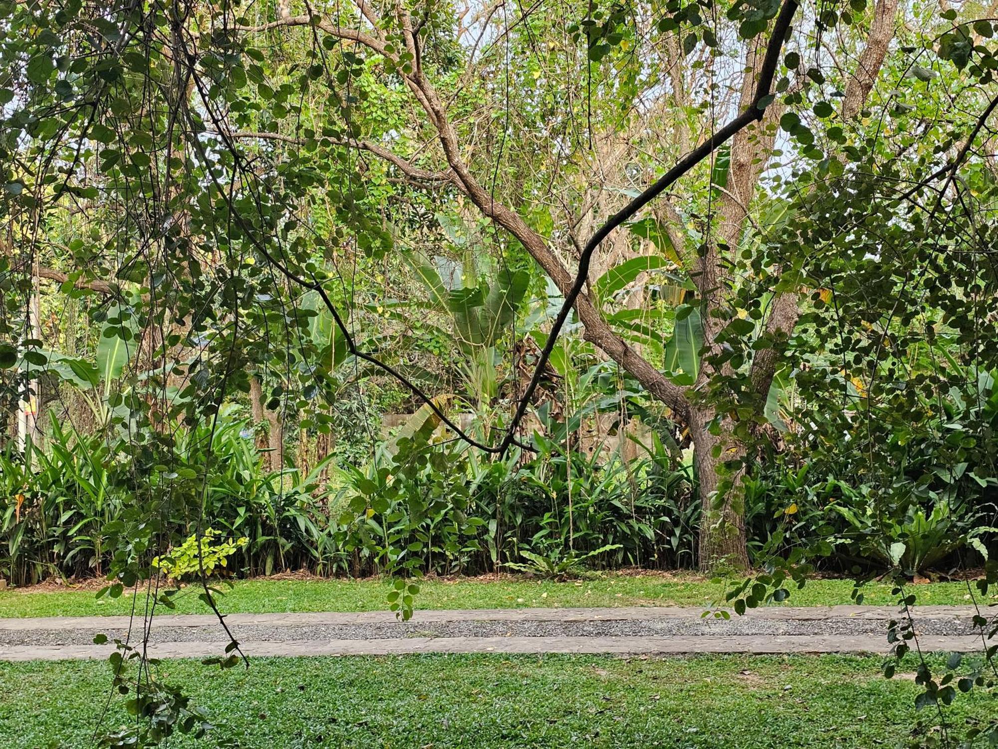 Royal Tusker Hotel Udawalawe Eksteriør bilde