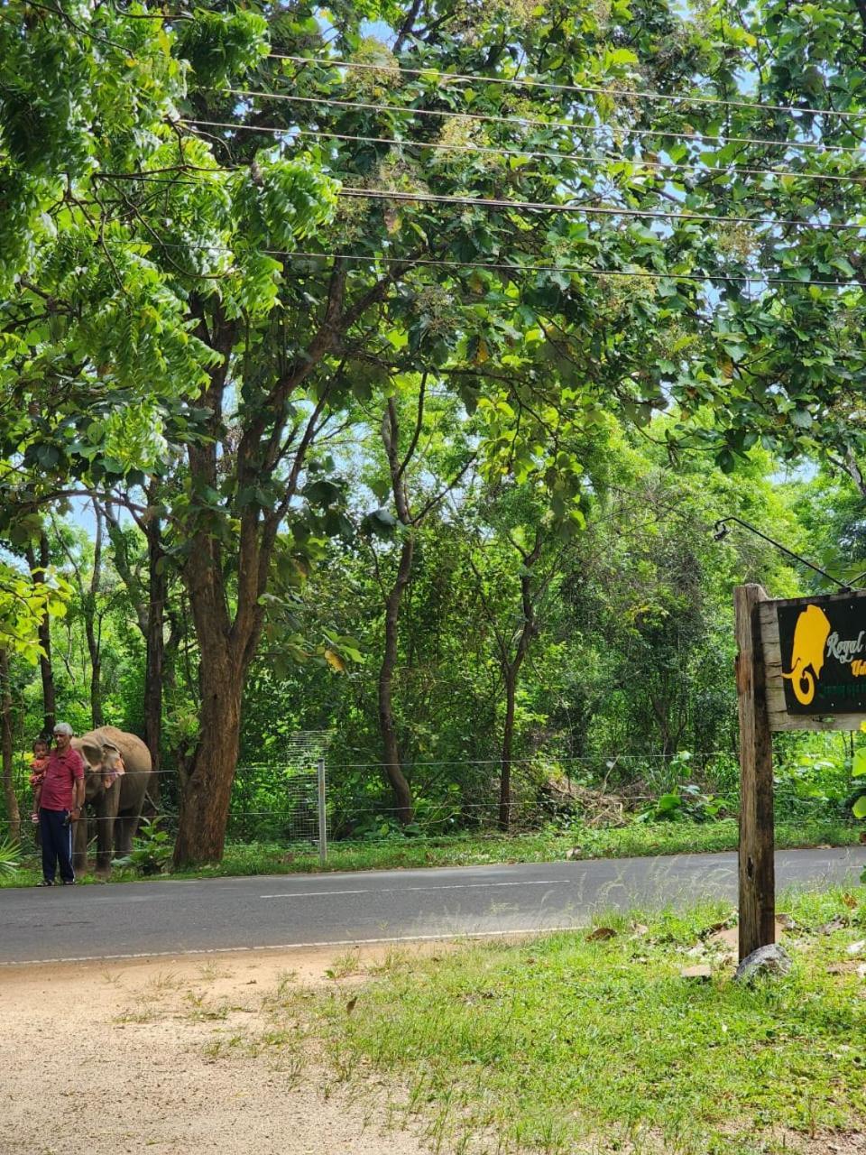 Royal Tusker Hotel Udawalawe Eksteriør bilde