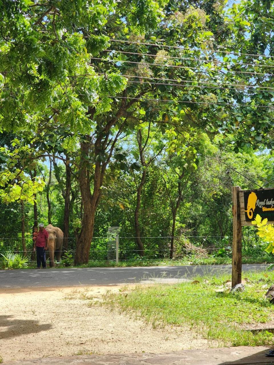 Royal Tusker Hotel Udawalawe Eksteriør bilde