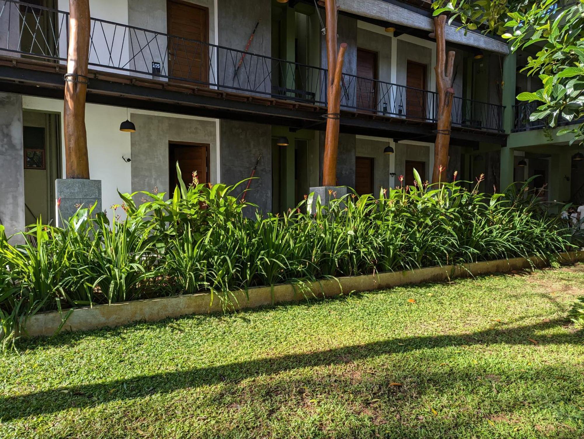 Royal Tusker Hotel Udawalawe Eksteriør bilde